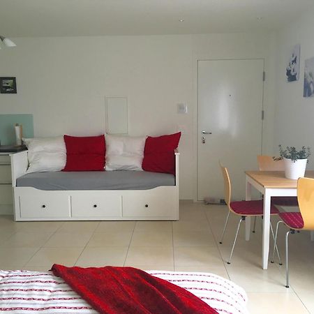 Charming Studio Near Rotsee Lucerne Kitchen/Wifi/Wasching Machine Exterior photo