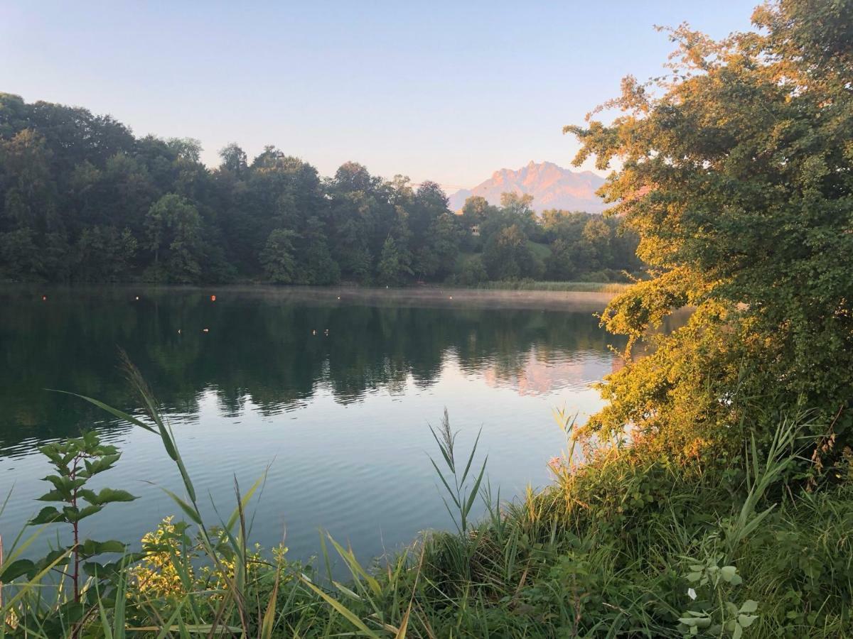 Charming Studio Near Rotsee Lucerne Kitchen/Wifi/Wasching Machine Exterior photo